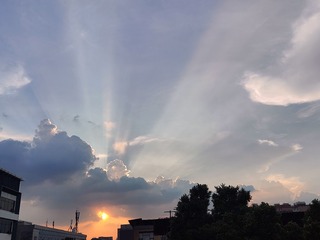 1000009772