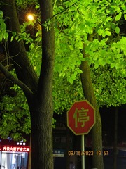6C9DE758-3D9D-4711-82D9-0DC9B4853FA5/L0/001