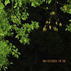 EA210591-ED86-4017-B861-E8FFCE822DD6/L0/001