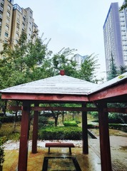 1000029073