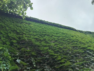 1000009592