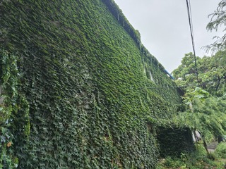 1000009589