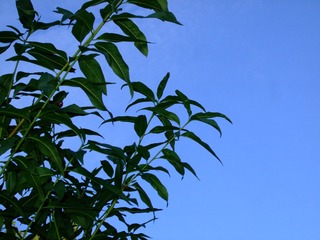EE1B1C29-254F-44D0-8FAB-8C6DDB4023C7/L0/001