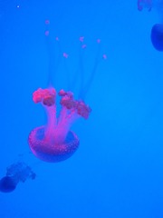 2EDF3241-D75C-40DE-92B6-91FF7BCCBB0D/L0/001