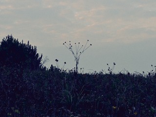 1000044133