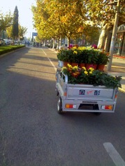 C360_2012-10-23-07-48-34.jpg