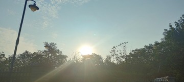 1000012868