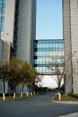 DSC00092.jpg