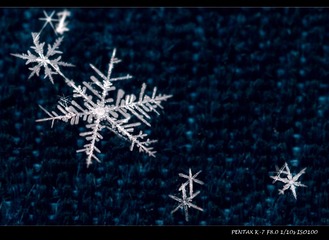 雪花-1