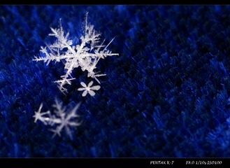 雪花-3