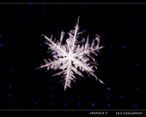 雪花-4