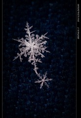 雪花-5