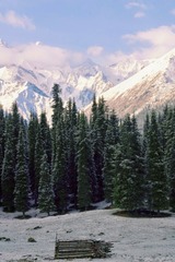 3DD47DF8-E5AB-446D-9641-A956FEB13AB1/L0/001