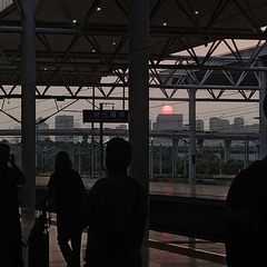 61336
