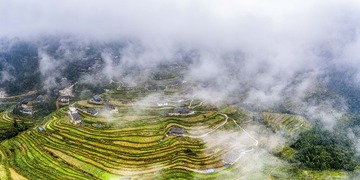 1367464