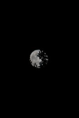 1000016104