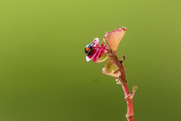 2009673