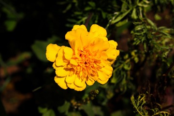 D5AAA569-7D4C-40F7-9CA0-C501E4F90900/L0/001