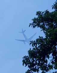 08D45AB6-7940-4160-8609-3B5AF1712E66/L0/001