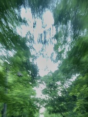 BD363F58-7086-48B7-BF6C-6CCB8BFF349C/L0/001