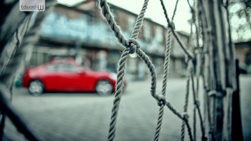 IMG_4233
