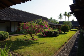 IMGP6792.JPG