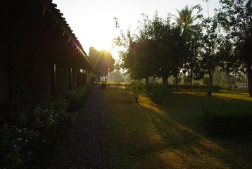 IMGP6826.JPG
