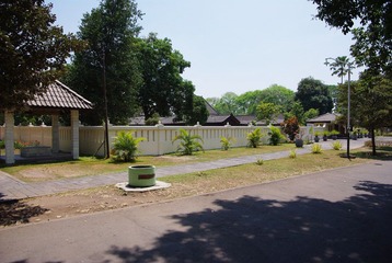 IMGP6916.JPG