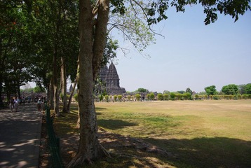 IMGP6910.JPG
