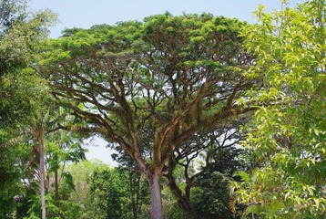 IMGP6936.JPG