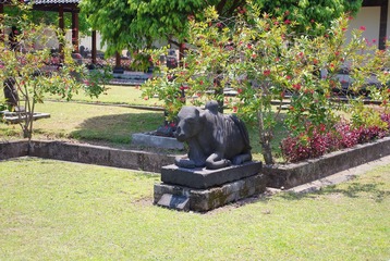 IMGP6934.JPG
