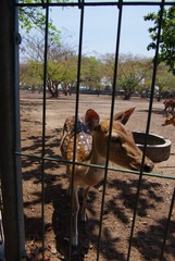IMGP6944.JPG