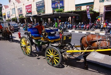 IMGP6977.JPG