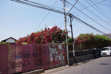 IMGP6970.JPG