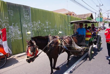 IMGP6971.JPG