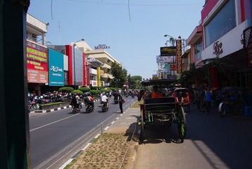 IMGP6976.JPG