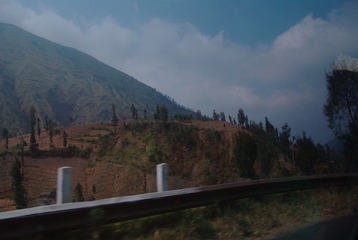 IMGP7031.JPG
