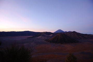 IMGP7116.jpg