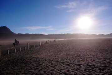 IMGP7222.jpg