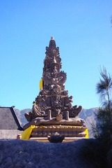 IMGP7326.jpg