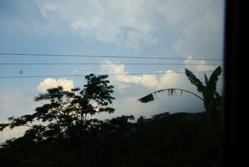 IMGP7363.jpg