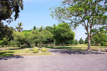 IMGP6856.jpg