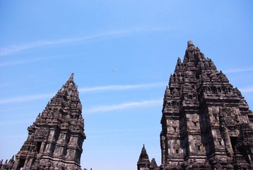 IMGP6870.jpg