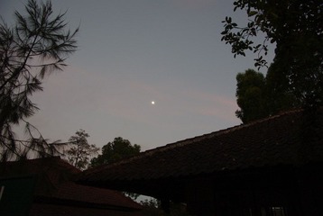 IMGP7447.jpg