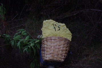 IMGP7449.jpg