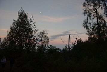 IMGP7450.jpg