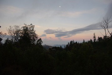 IMGP7451.jpg