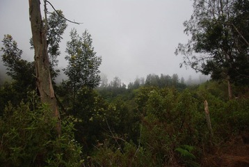 IMGP7453.jpg