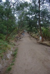IMGP7454.jpg