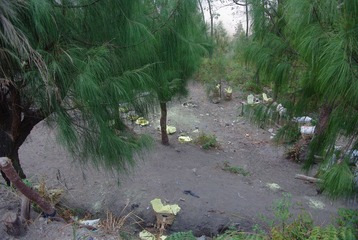 IMGP7457.jpg